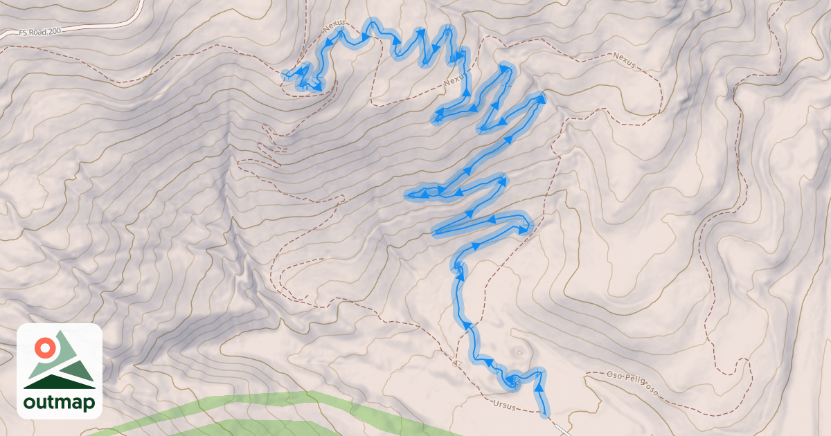 Map of Bear With Me