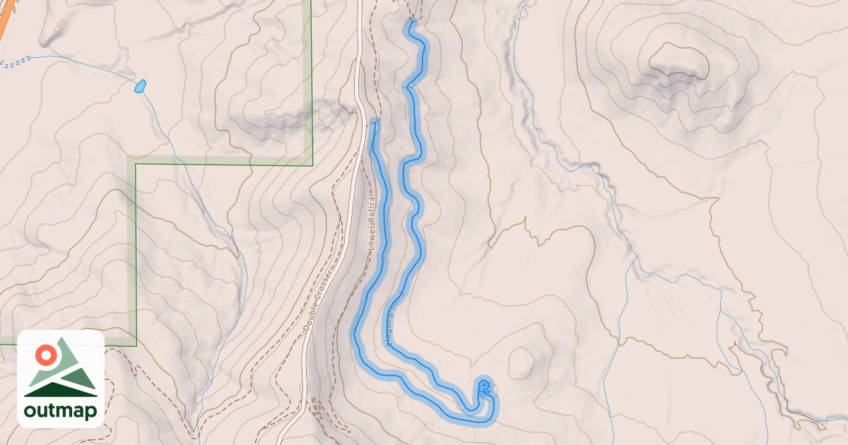 Map of Plagueground