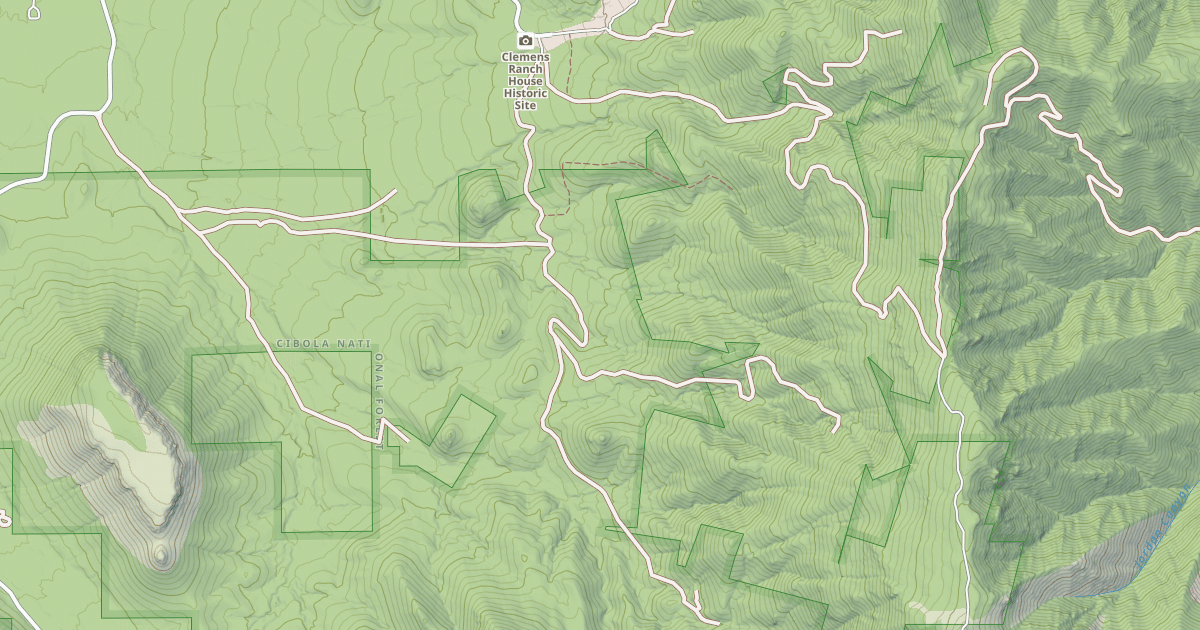 Map preview of USFS Motor Vehicle Use Map Roads {FD019271-9D01-4CD2-BC78-BAE238C161B1}