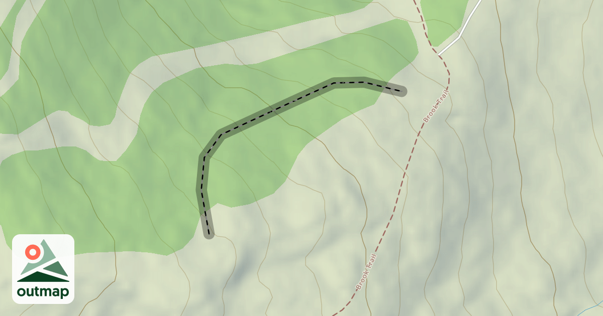 Map of Birch Glades