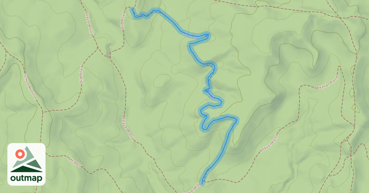 Map of Elevator