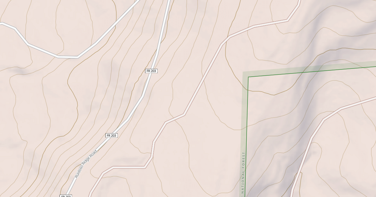 Map preview of USFS National Forest System Roads {991D43D2-1AB5-48BB-B054-8A679E34619C}