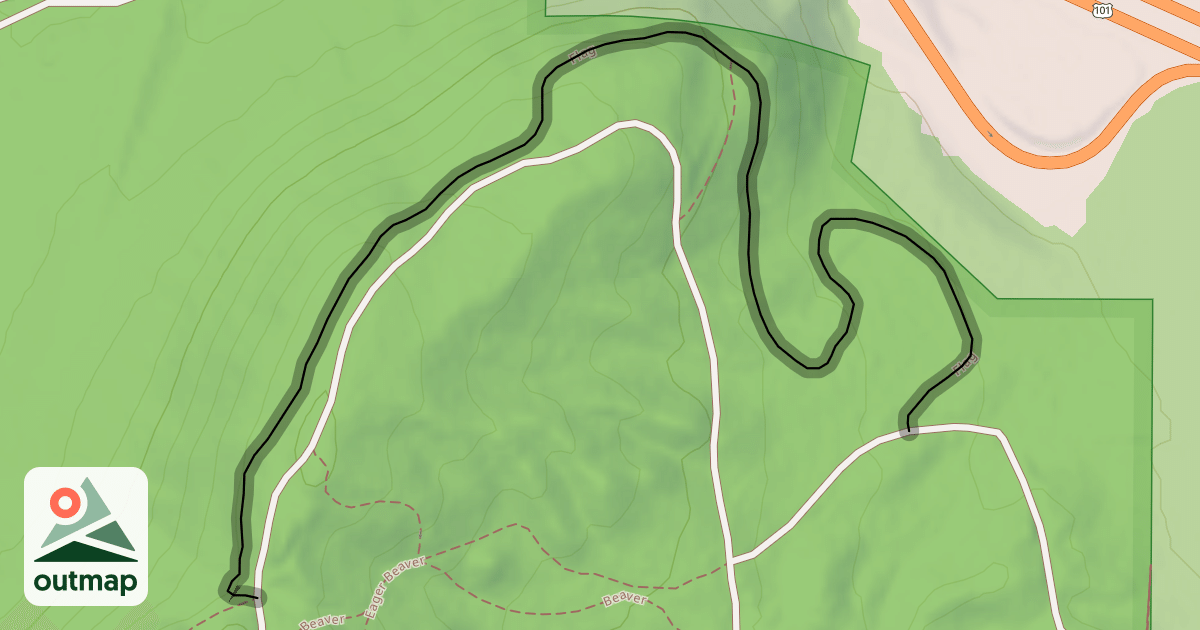Map of Flag
