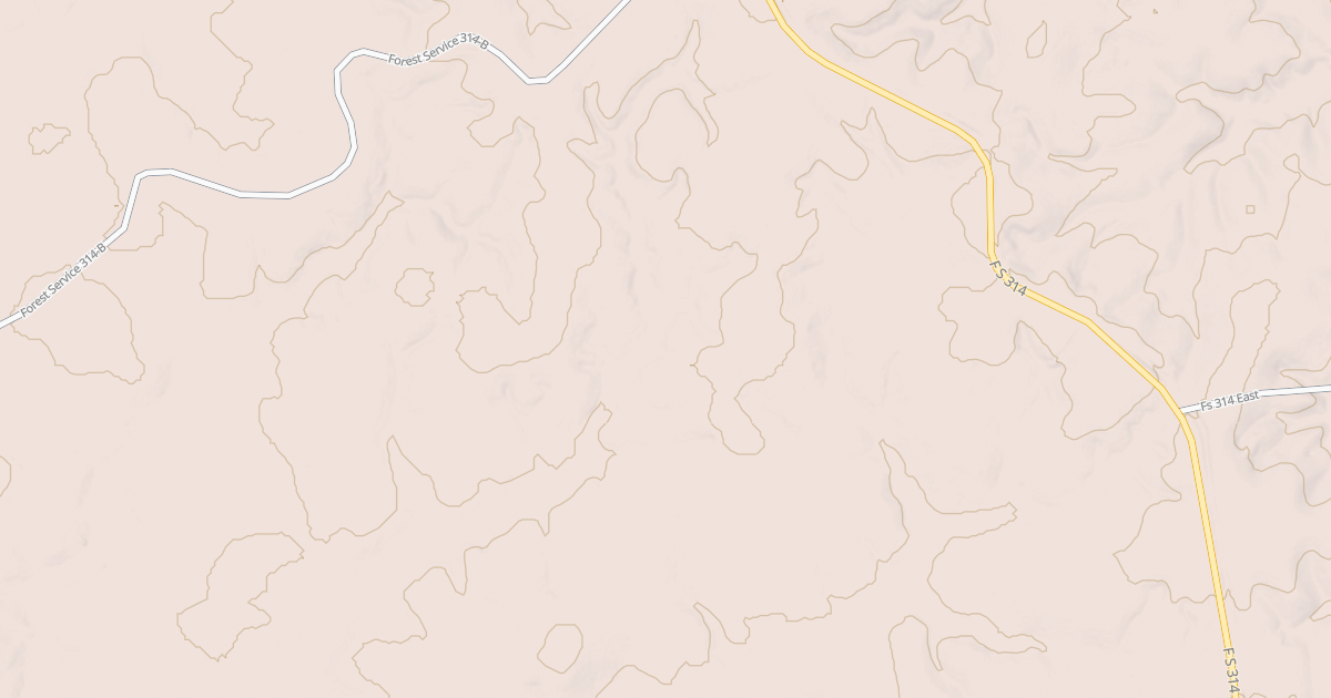 Map preview of USFS National Forest System Roads {894878B2-DE9A-4D49-AB48-6EFE2C44C0F6}