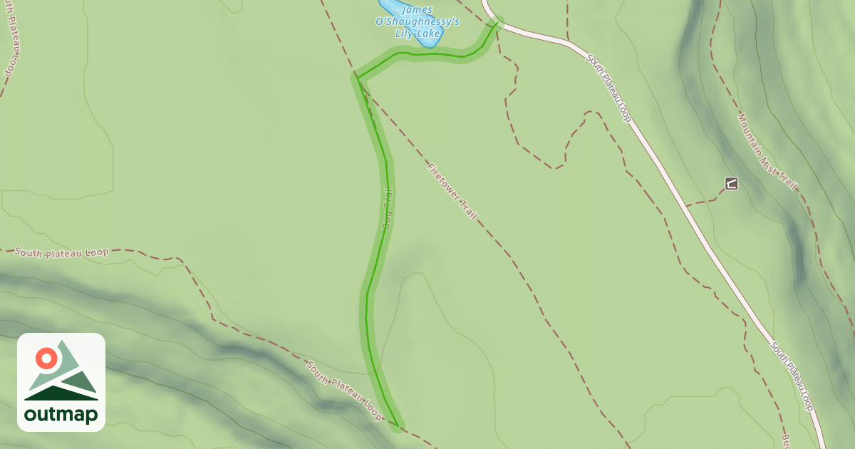 Map of Bog Trail