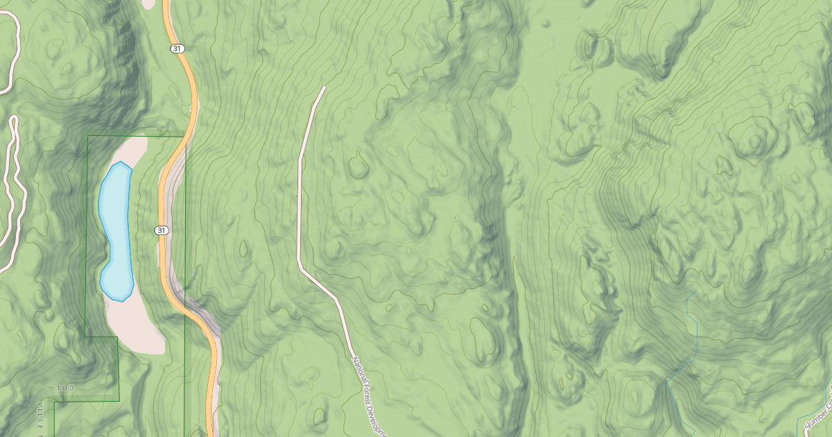 Map preview of USFS Motor Vehicle Use Map Roads {5CBE7AF8-39A6-4658-BC82-C8BAF3D0D725}