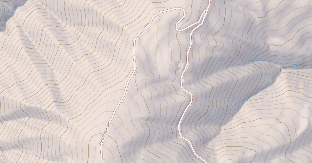 Map preview of DOG BONE