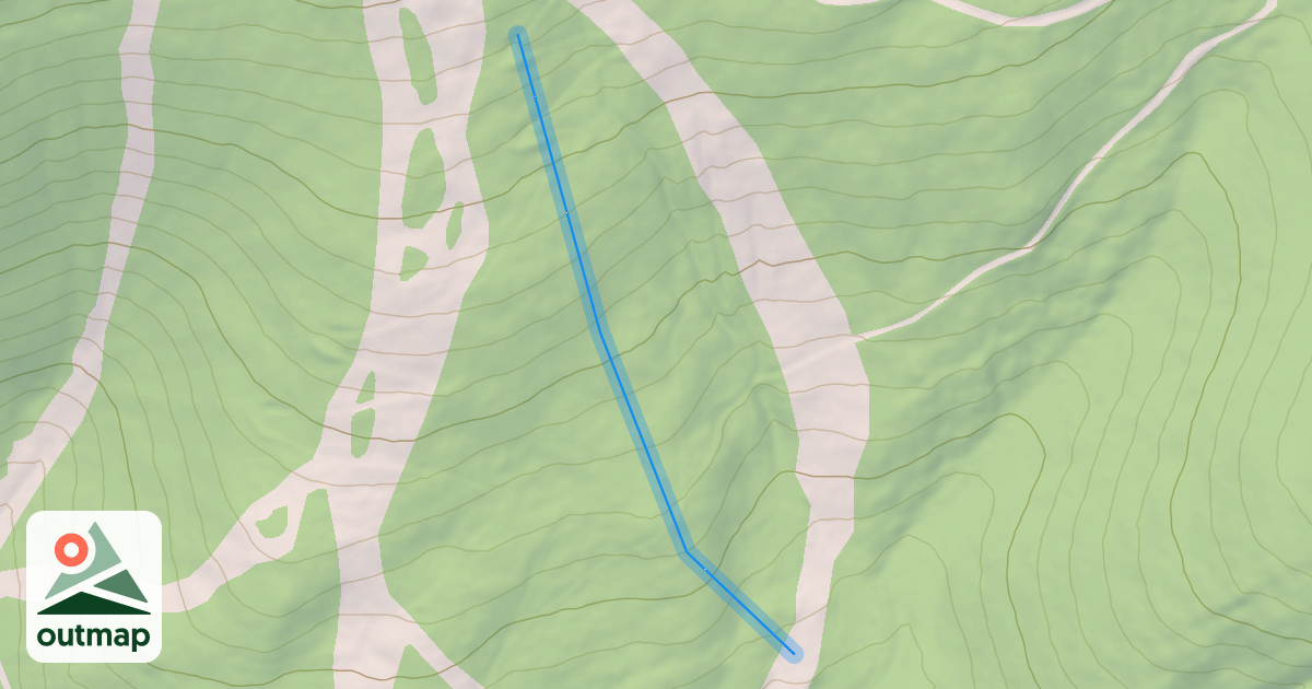 Map of Teacups