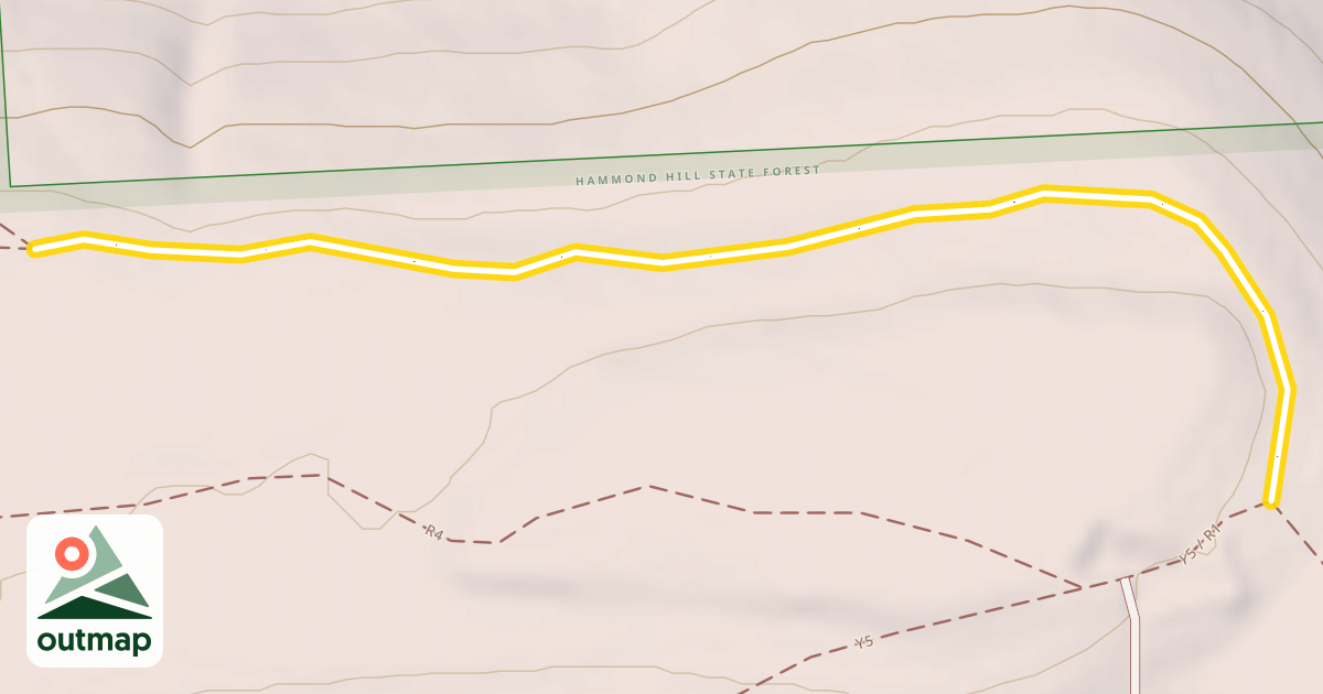 Map of Y4