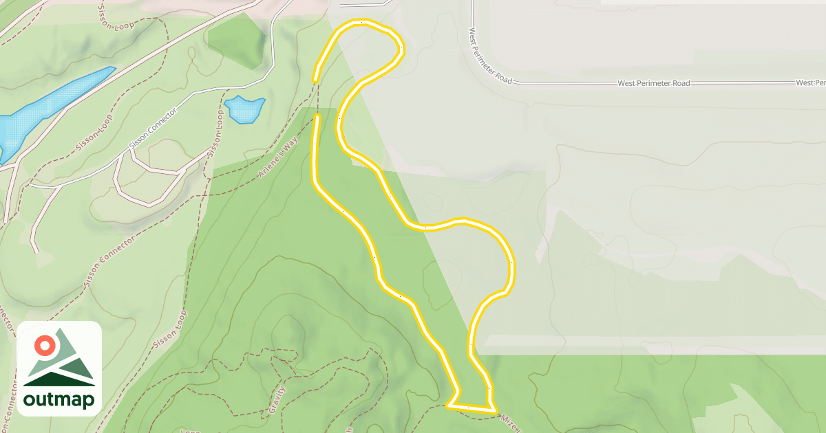 Map of Arlene's Way
