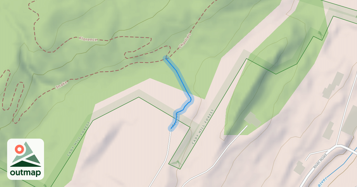 Map of Access