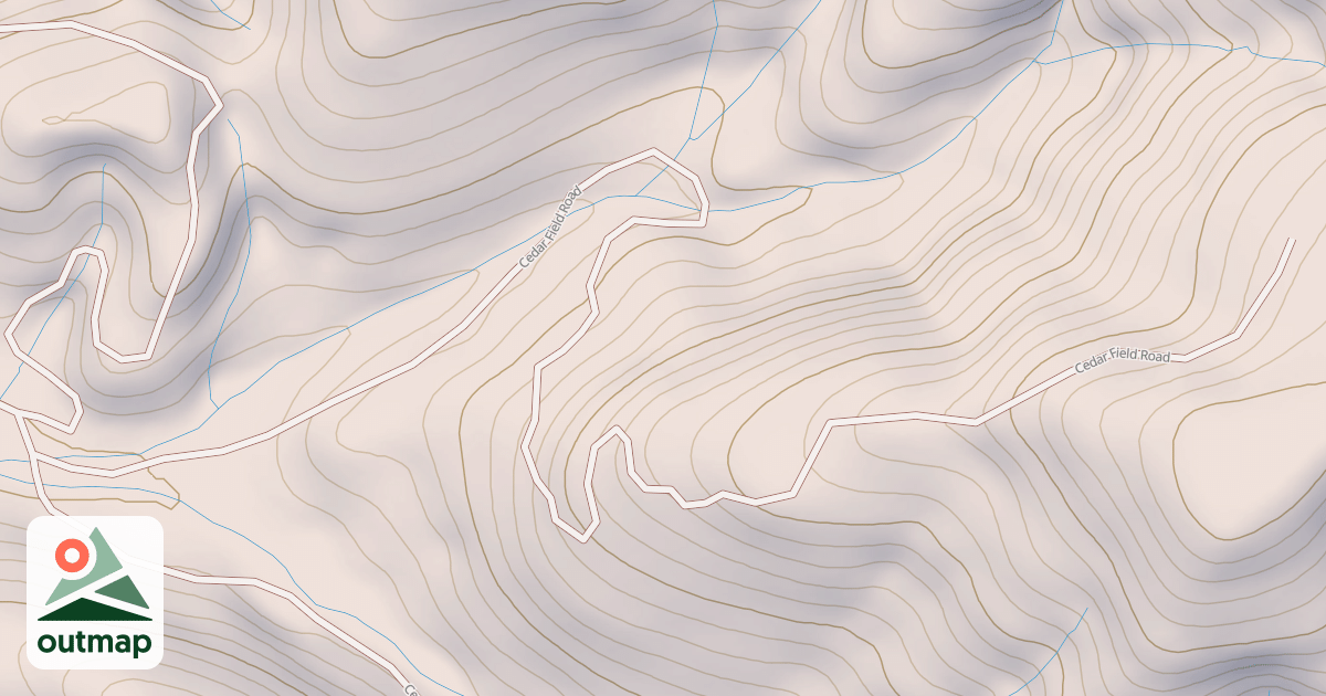 Map of CEDAR FIELD