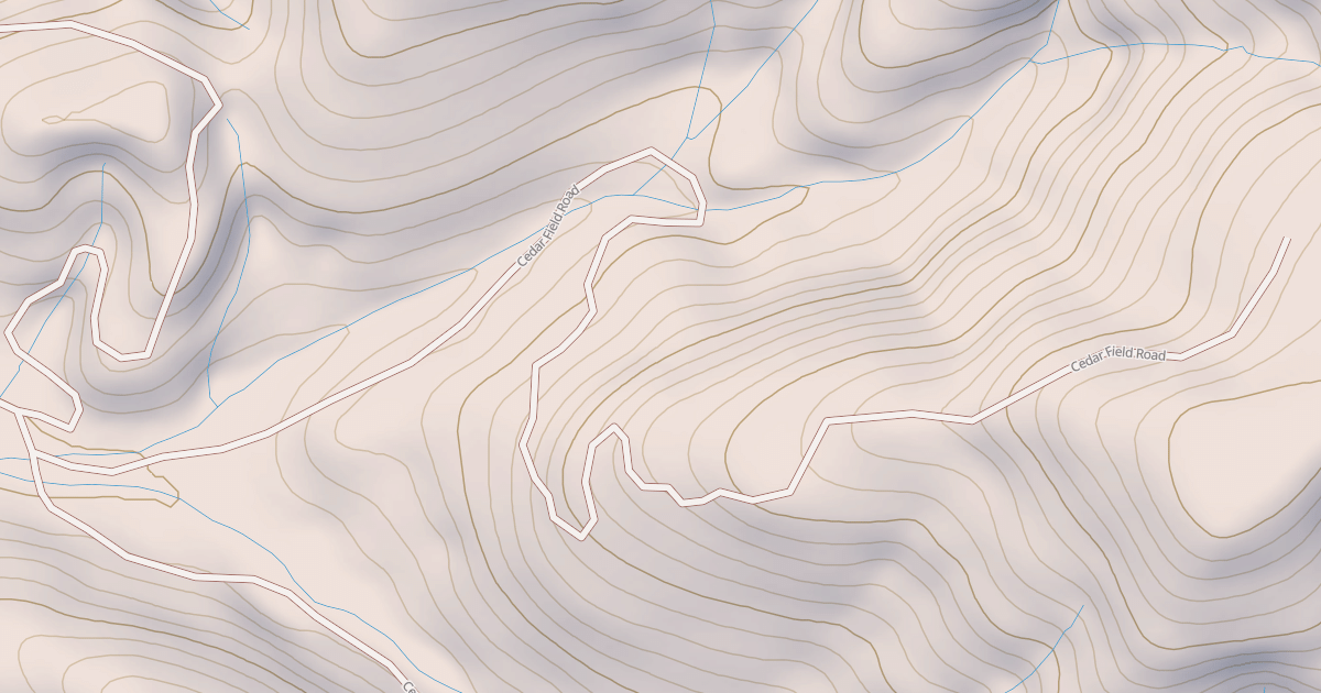 Map preview of CEDAR FIELD