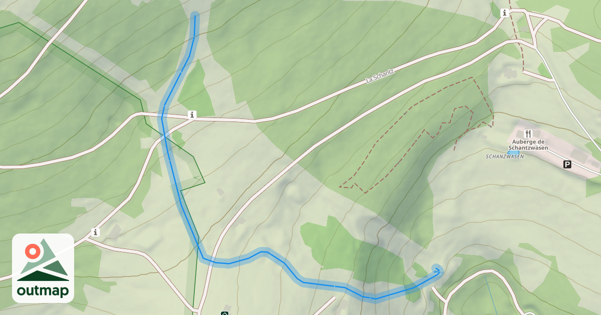 Map of Schupf