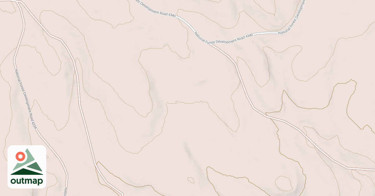 Map of USFS National Forest System Roads {0F6AD877-2D09-49D7-B2AC-1FE0C8382040}