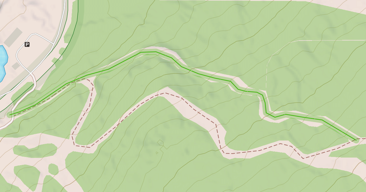 Map preview of Stray-Cat