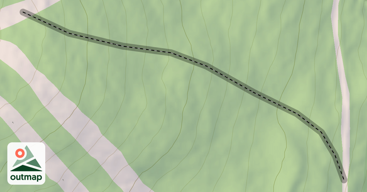 Map of Forrest Bump