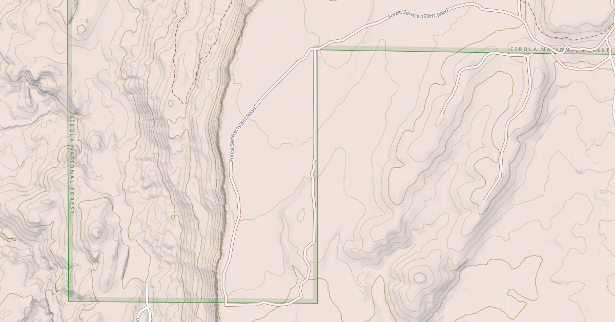 Map preview of USFS National Forest System Roads {190D1188-C31D-405D-B1B0-7D29198F2F1A}