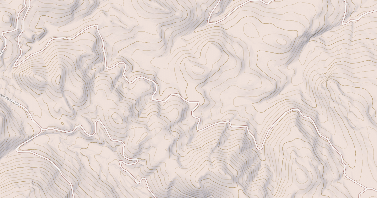 Map preview of USFS National Forest System Roads {900AD9B0-BE49-4B11-AB86-56D9B9C02EE8}