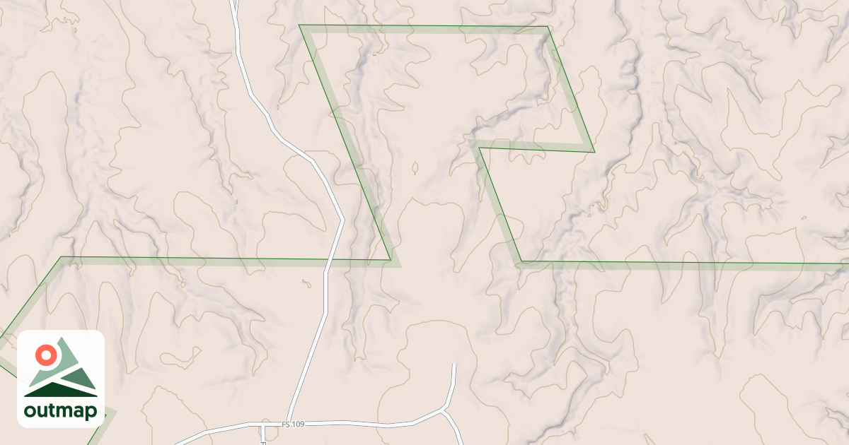 Map of USFS National Forest System Roads {9AD9922B-AD24-47E7-A620-76468094CE0F}