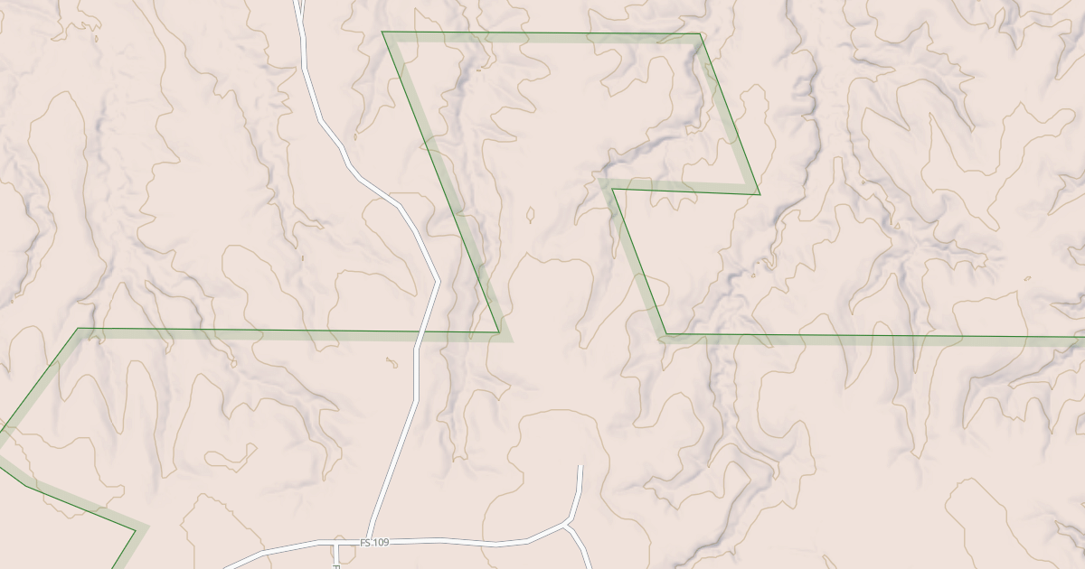 Map preview of USFS National Forest System Roads {9AD9922B-AD24-47E7-A620-76468094CE0F}