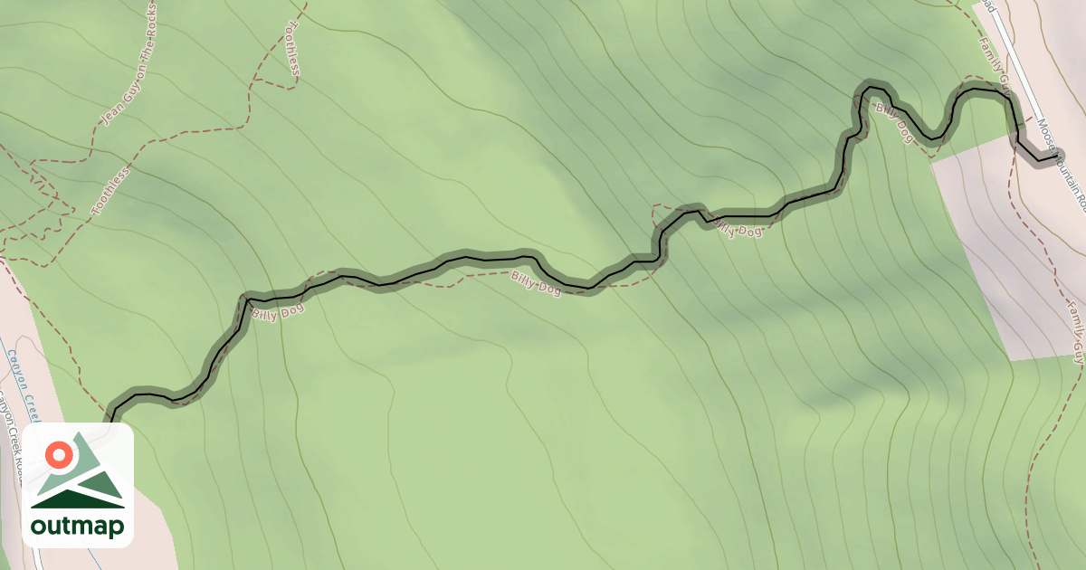 Map of Billy Dog