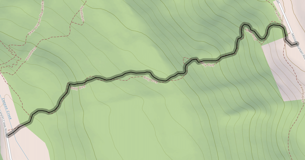 Map preview of Billy Dog