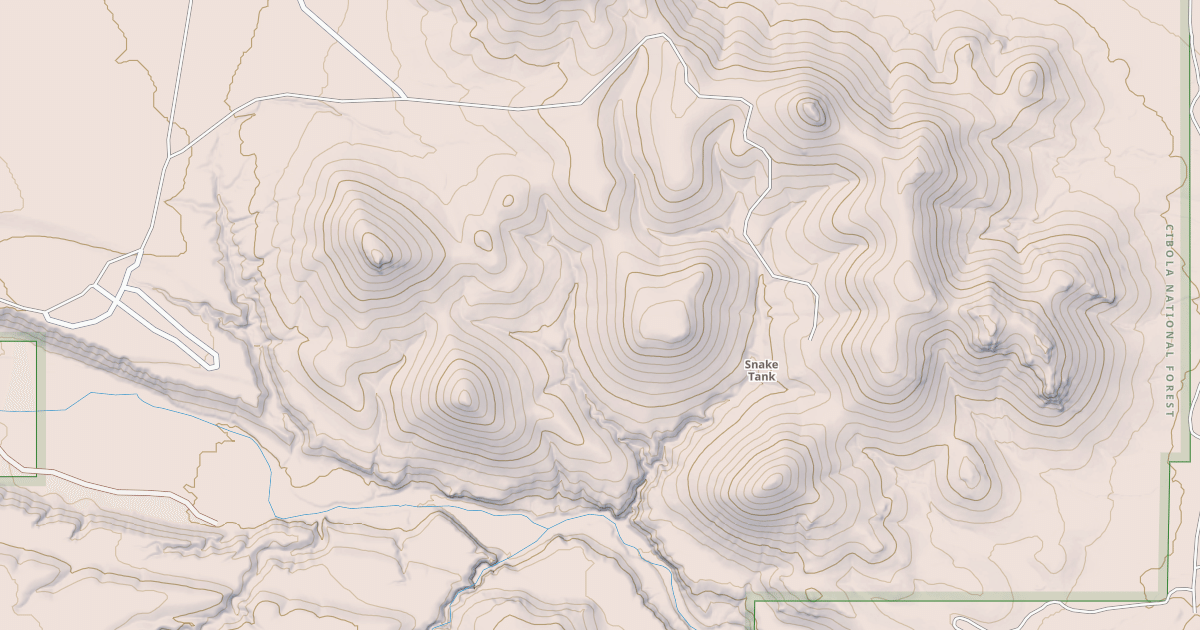 Map preview of USFS National Forest System Roads {2A15882A-DC21-4B35-978F-C8726381867E}