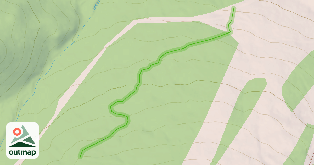 Map of Gold Chute