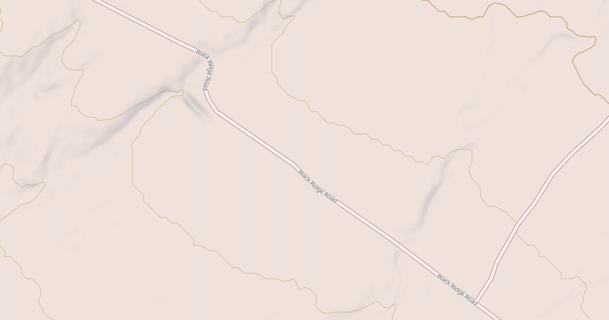 Map preview of BLM National GTLF Public Motorized Roads 0d3e23c9-0b83-4228-bfe5-3c95a707f1d3