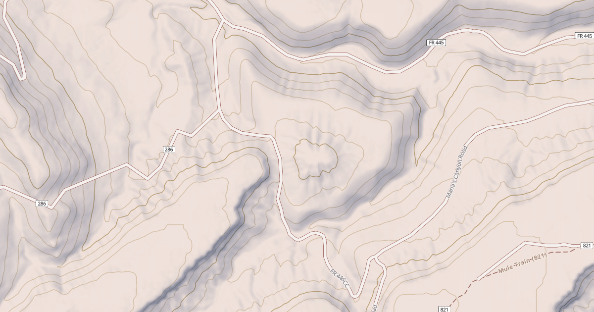 Map preview of USFS Motor Vehicle Use Map Roads {1191F4A2-684F-46BC-815C-7518E2F3143F}