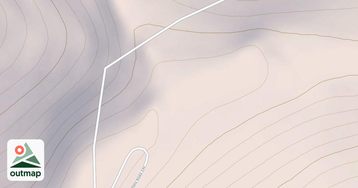 Map of 339 Y