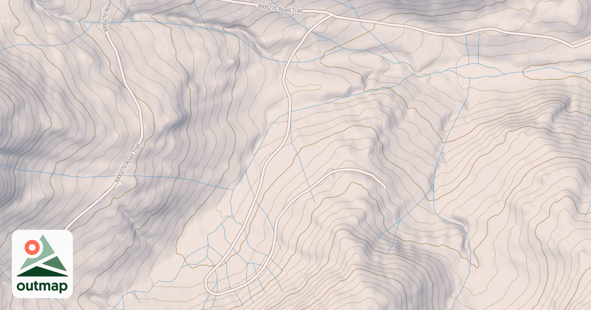 Map of USFS National Forest System Roads {4827B8B2-E238-40A3-A583-3AF0F2E7213D}