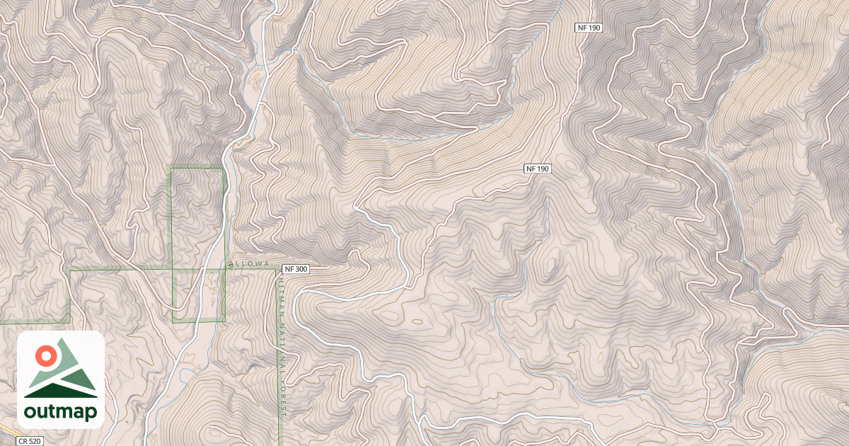 Map of USFS National Forest System Roads {04E2B723-81D2-41EF-A979-18B92380F850}