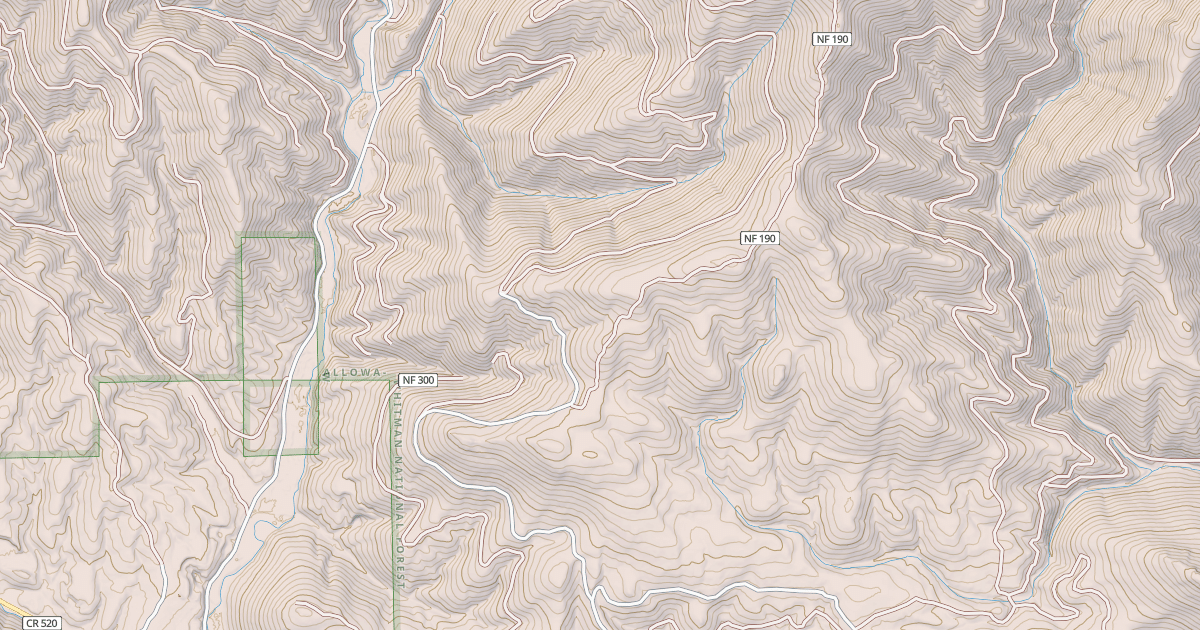 Map preview of USFS National Forest System Roads {04E2B723-81D2-41EF-A979-18B92380F850}