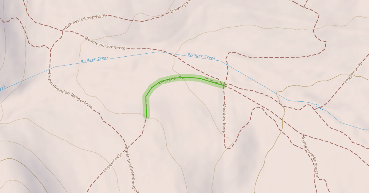 Map preview of Logger's (5)