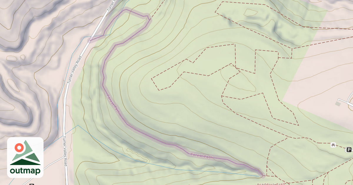 Map of Forest Path