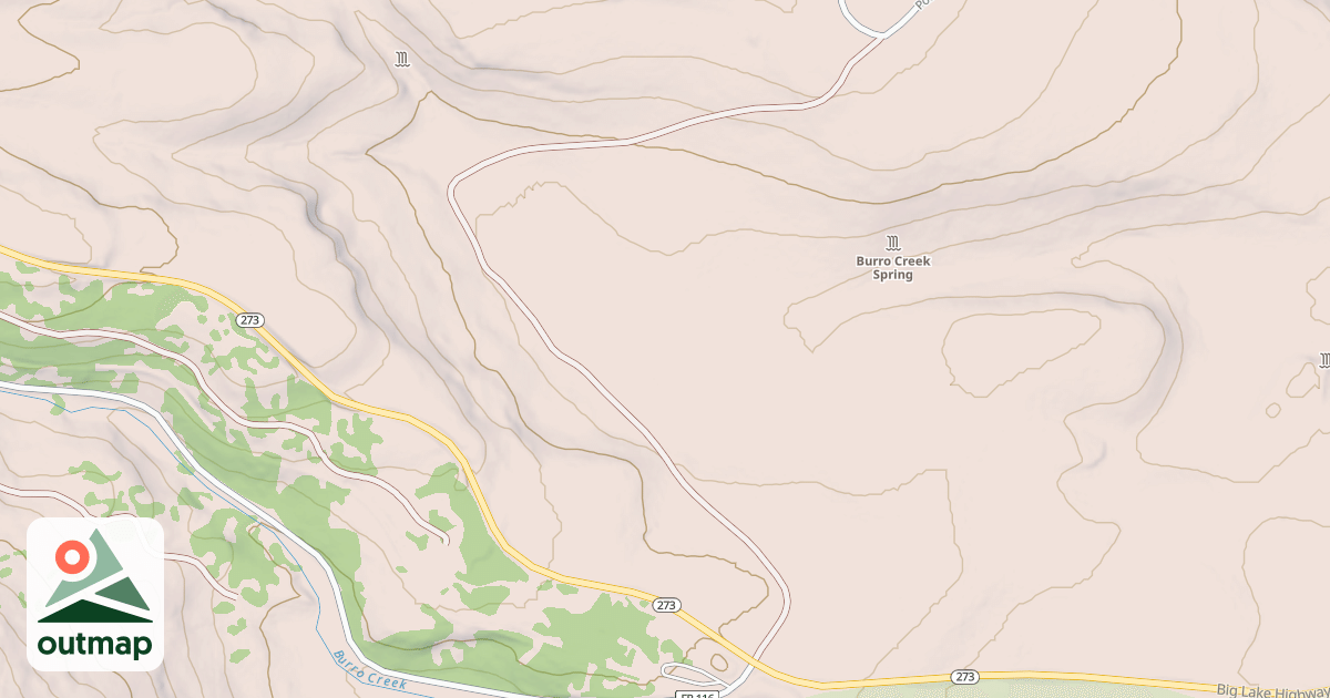 Map of SPRUCE SPR. TS.