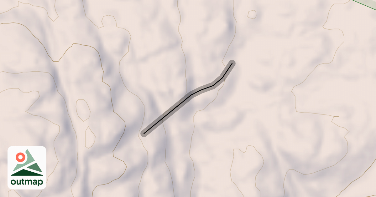 Map of Dingo