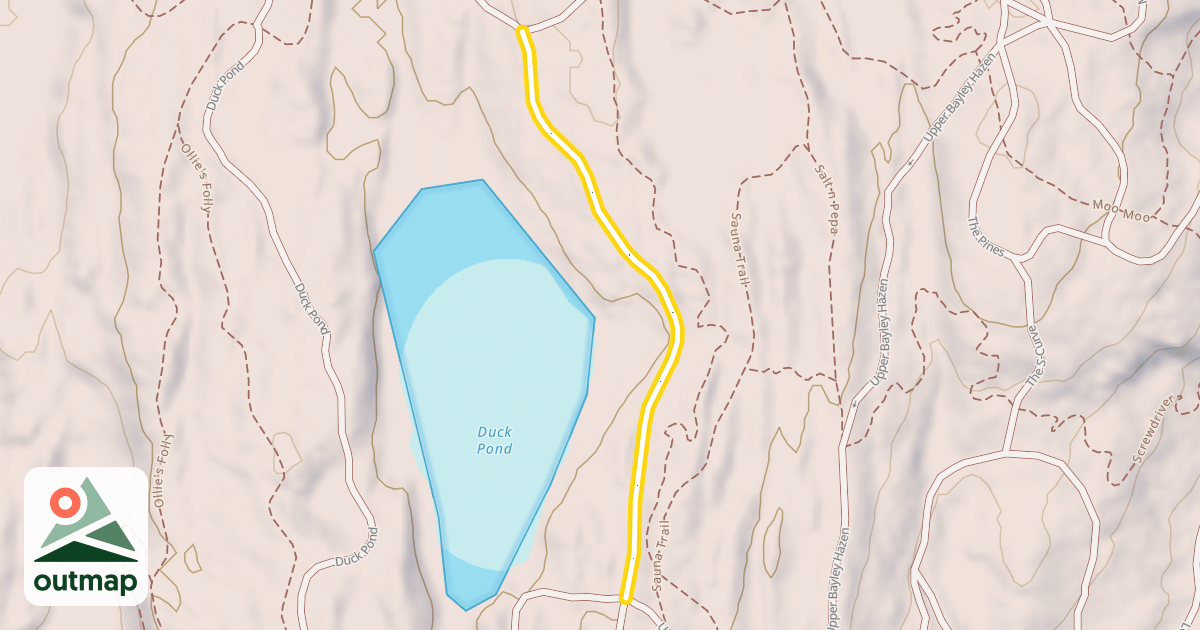 Map of Duck Pond