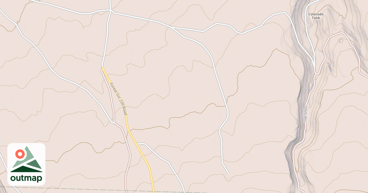 Map of USFS National Forest System Roads {1E310138-D3AA-4792-A9C1-C18F90E6DF89}