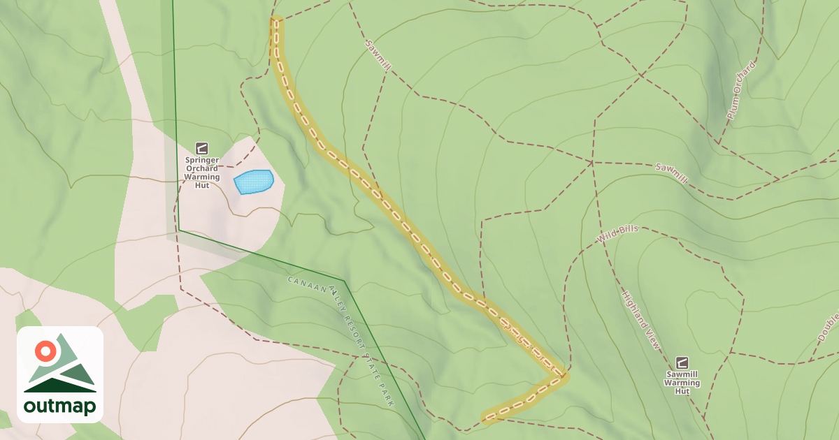 Map of Springer Forest