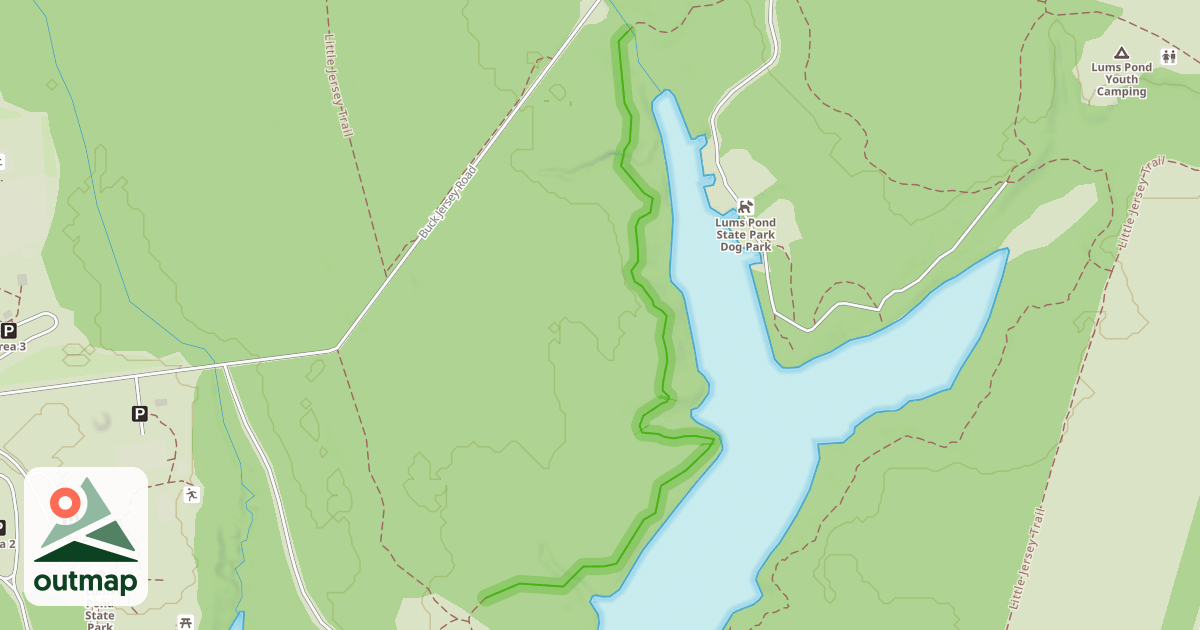 Map of Swamp Forest Trail