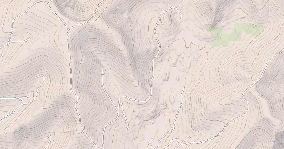 Map preview of USFS National Forest System Roads {404225E1-266F-4E21-A31A-7B1D9AF7F017}