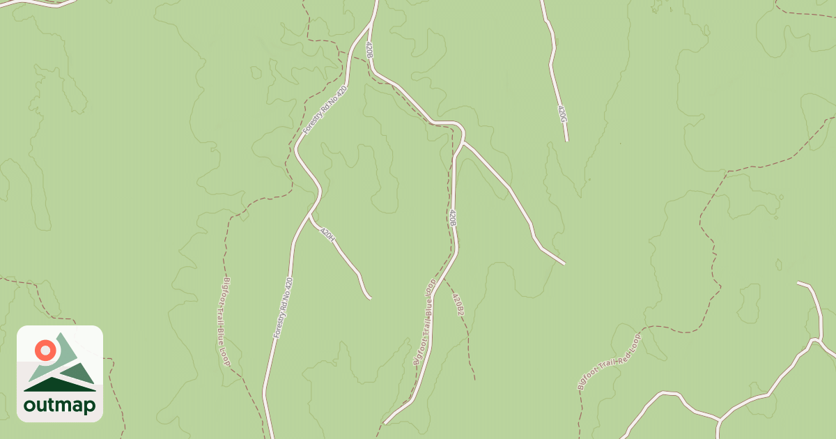 Map of USFS National Forest System Roads {0699D605-A431-4E49-86E3-B0BBD354B540}