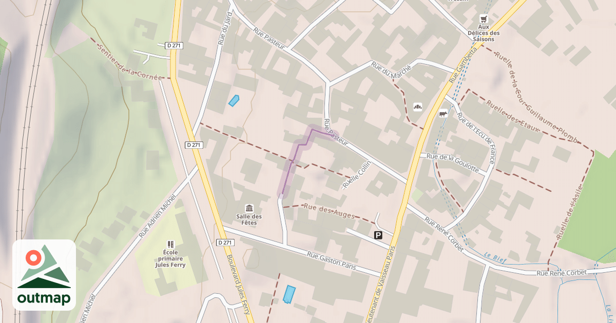 Map of Ruelle de la Salle des Fêtes