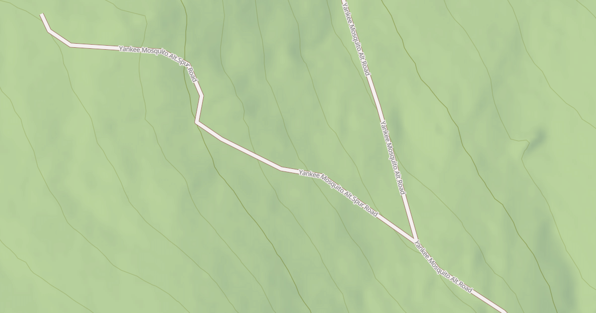 Map preview of YANKEE MOSQUITO ALT.SPUR