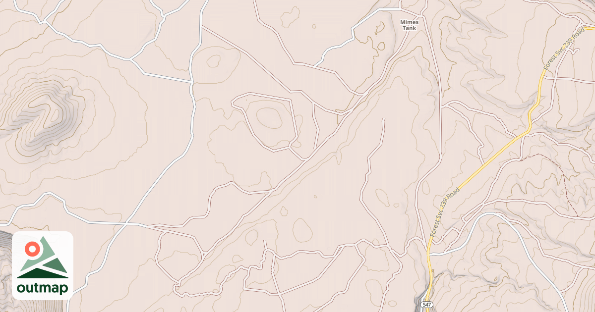 Map of USFS National Forest System Roads {6F3F5002-5689-4506-BE0B-80DB3C043537}