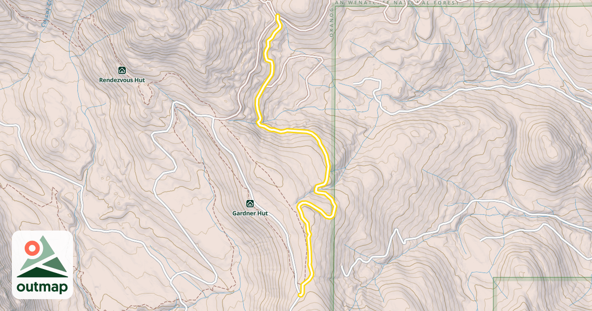 Map of Cougar Mountain Loop