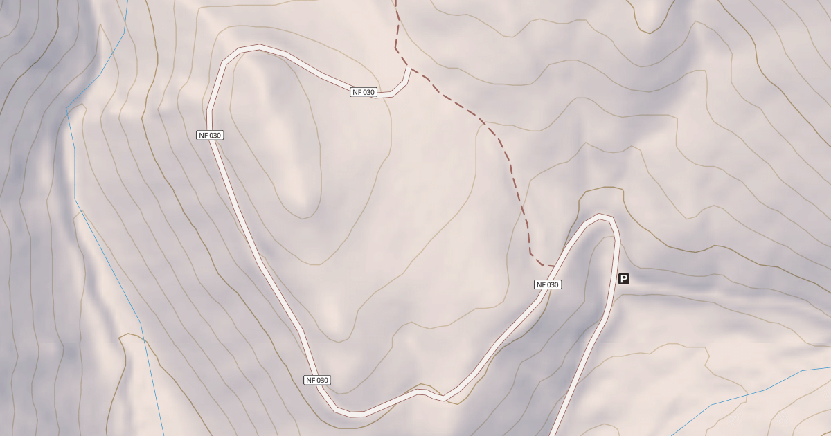 Map preview of USFS National Forest System Roads {5EBE8D5C-D280-4BEA-932F-DC1F20D7F5F9}